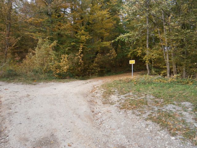 Rudnica/jugozahodni del, 20.10.2013 - foto