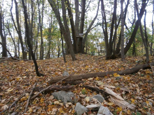 Rudnica/jugozahodni del, 20.10.2013 - foto