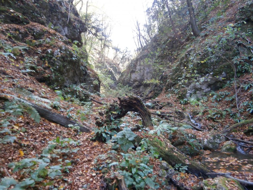 Celjski hribi, 27.10.2013 - foto povečava