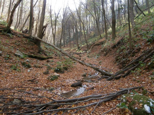 Celjski hribi, 27.10.2013 - foto
