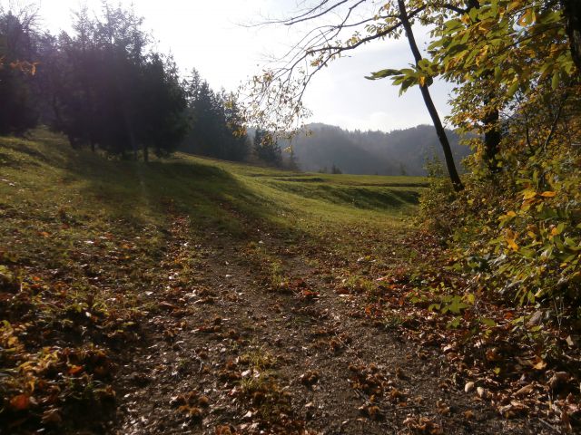 Celjski hribi, 27.10.2013 - foto