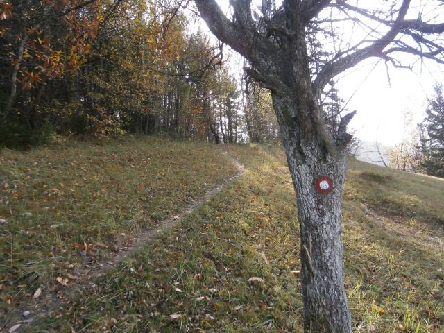 Celjski hribi, 27.10.2013 - foto