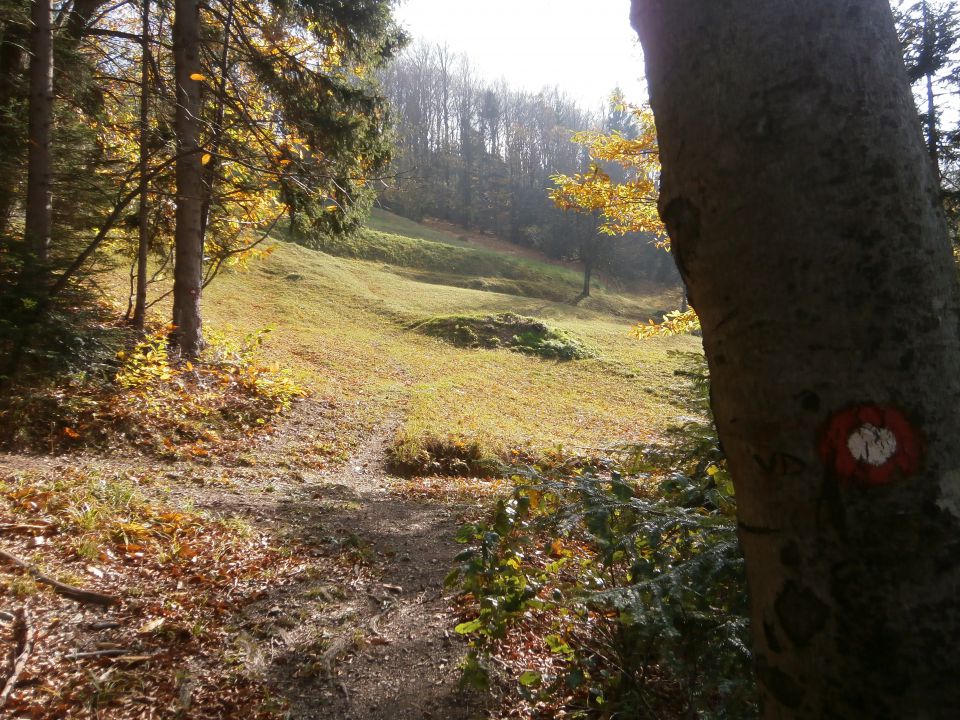 Celjski hribi, 27.10.2013 - foto povečava