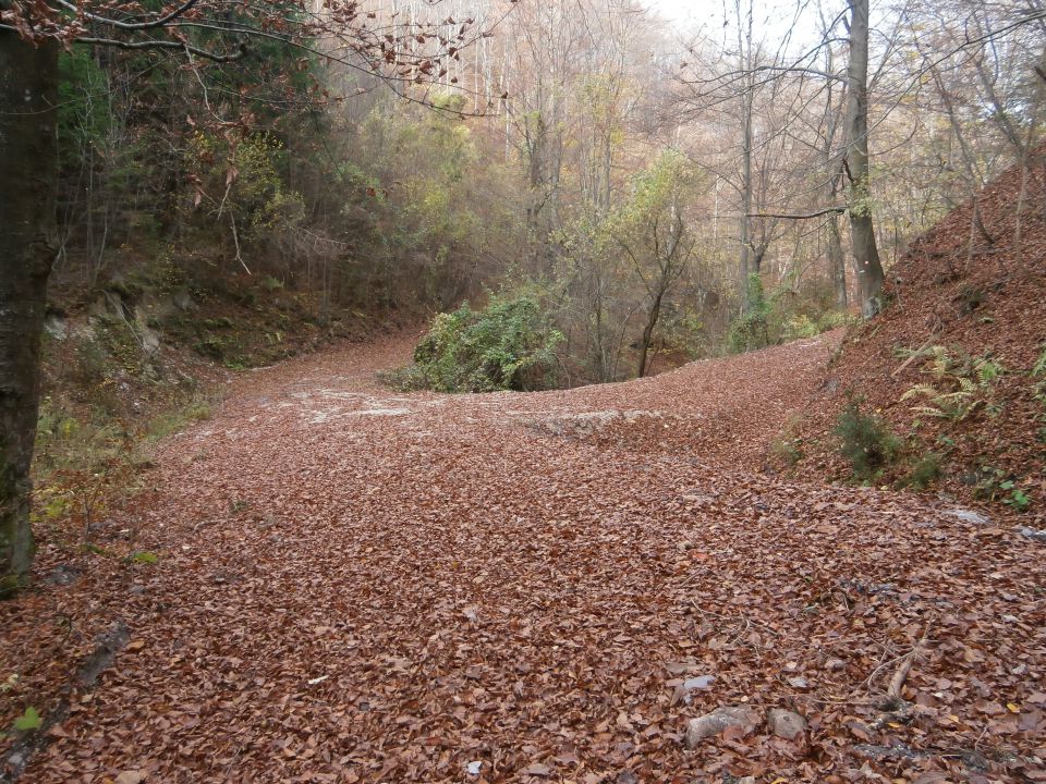 Celjski hribi, 27.10.2013 - foto povečava