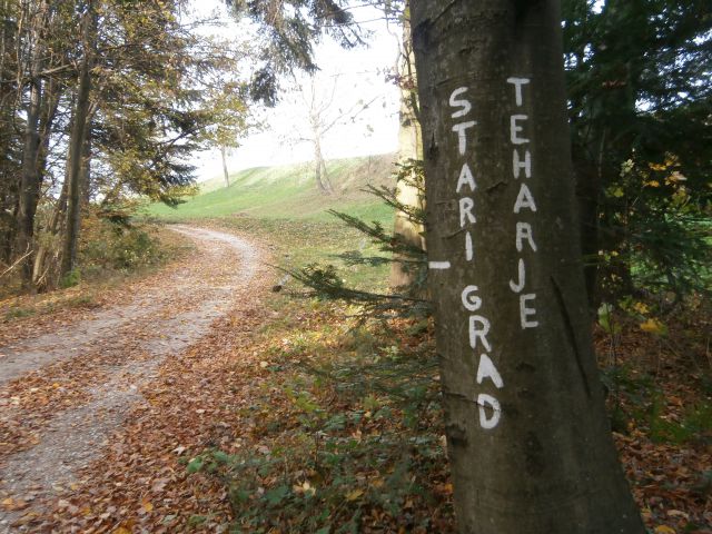 Celjski hribi, 27.10.2013 - foto