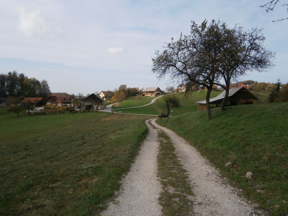 Celjski hribi, 27.10.2013 - foto povečava