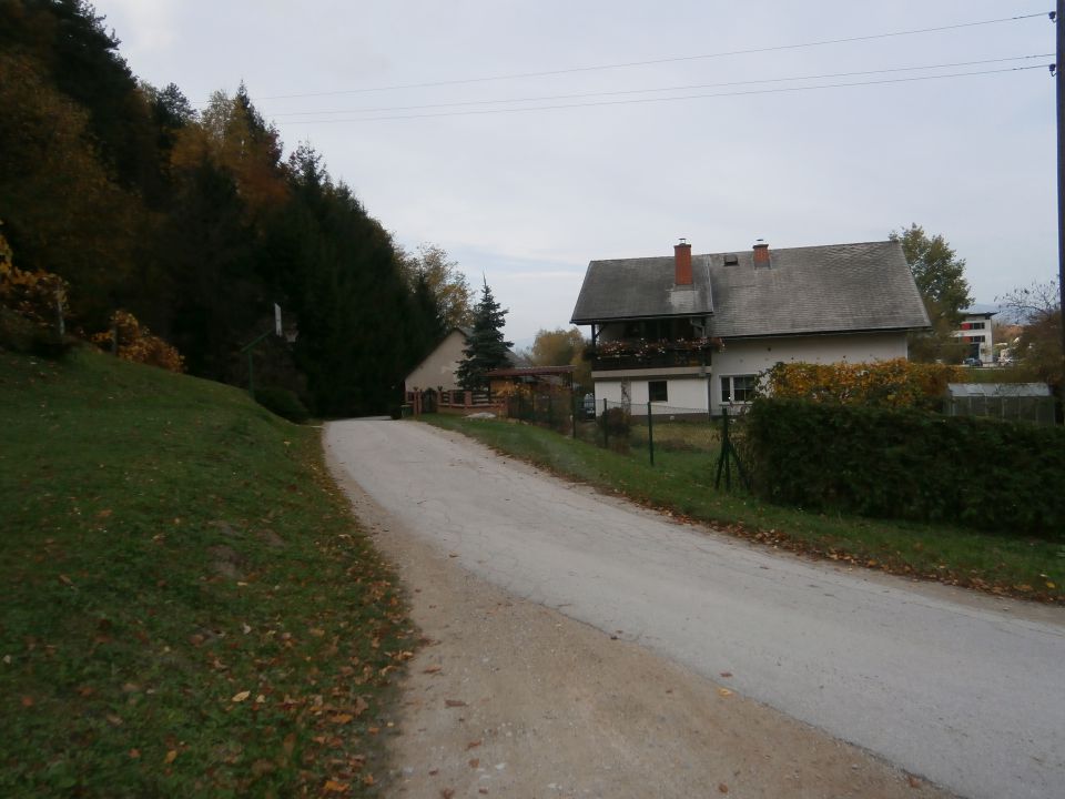 Celjski hribi, 27.10.2013 - foto povečava