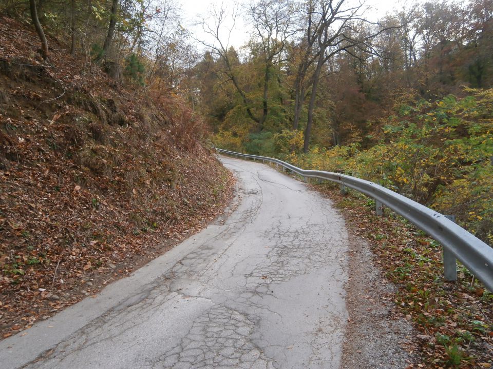 Celjski hribi, 27.10.2013 - foto povečava