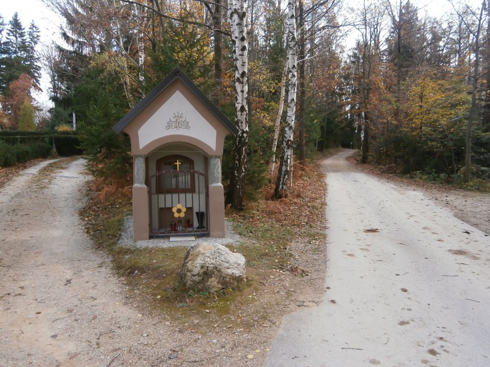  Mrzlica - Šmohor - Vipota , 31.10.2013 - foto povečava