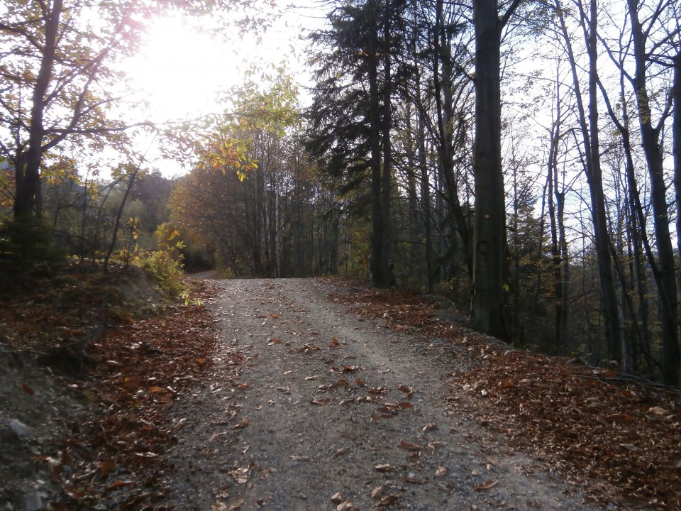  Mrzlica - Šmohor - Vipota , 31.10.2013 - foto povečava