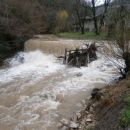 Žičnica in njena moč v bližini rastišča ,,žičkega grobeljnika,,