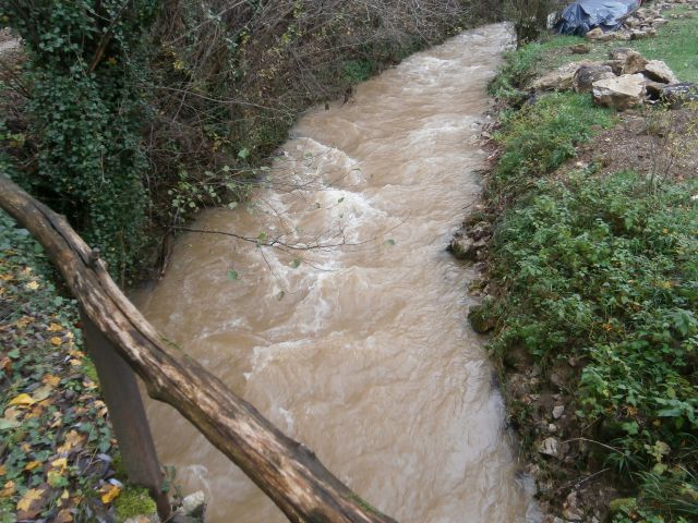 ...deroča je bila danes, poleti pa tako ,,lenobna,,...