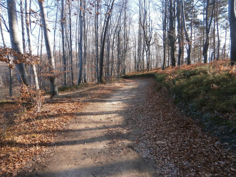 Resevna, 1.12.2013 - foto povečava