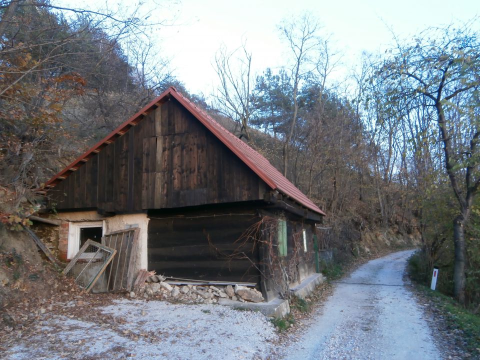 Resevna, 1.12.2013 - foto povečava