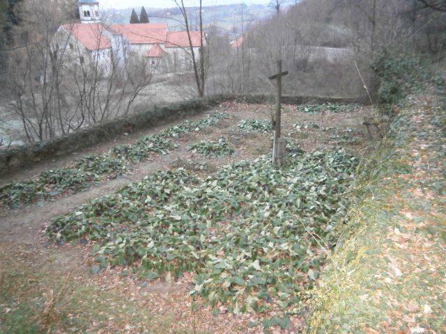 ...pogled na staro nunsko pokopališče...