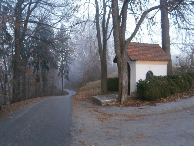 Celjski krog, 15.12.2013 - foto