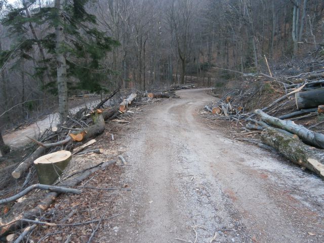 ...na veliko rušijo, bo kaj Boča še ,,ostalo,,...