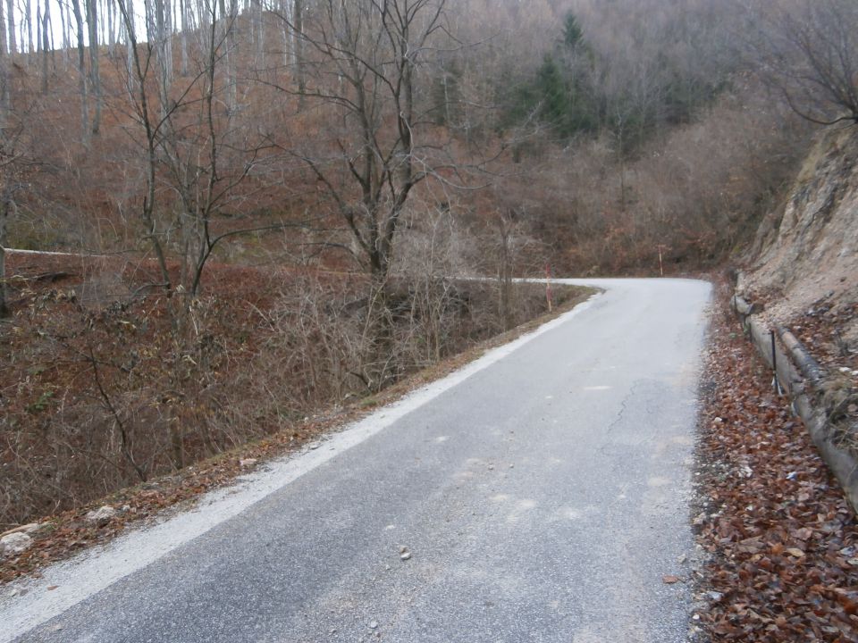 Boč/po cesti, 23.12.2013 - foto povečava