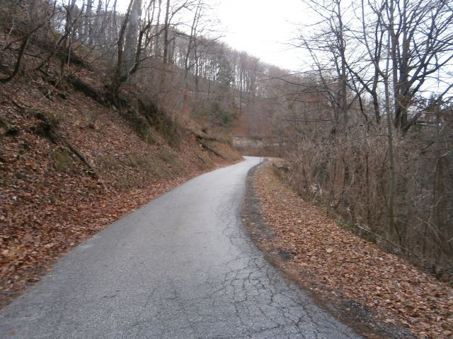 Boč/po cesti, 23.12.2013 - foto