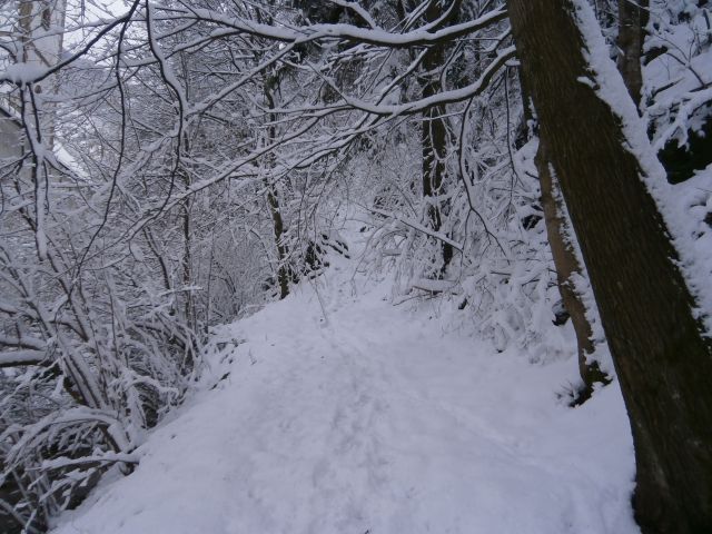 Studeniška samostanska učna pot, 26.01.2014 - foto