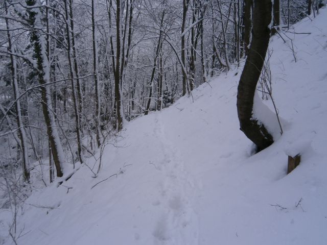 Studeniška samostanska učna pot, 26.01.2014 - foto