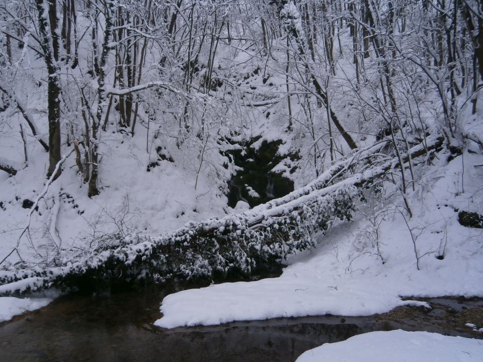 Studeniška samostanska učna pot, 26.01.2014 - foto povečava