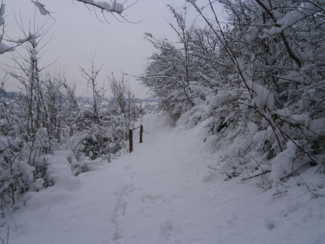 Studeniška samostanska učna pot, 26.01.2014 - foto