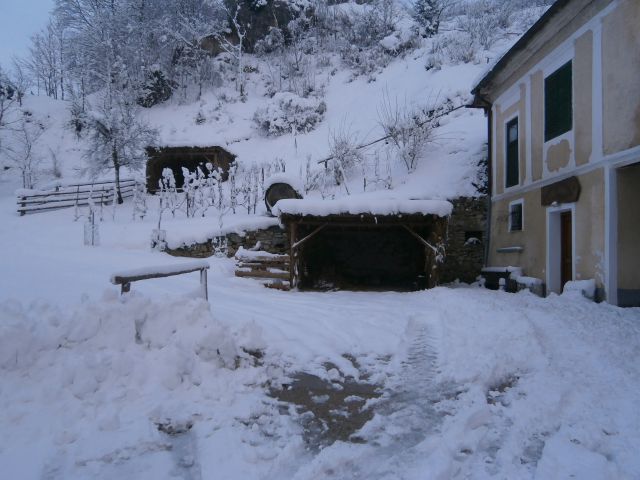 Studeniška samostanska učna pot, 26.01.2014 - foto