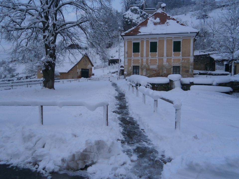 Studeniška samostanska učna pot, 26.01.2014 - foto povečava