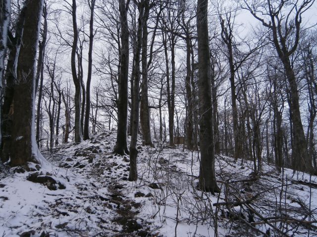 Boč nad Studenicami & Poljčanami, 23.2.2014 - foto