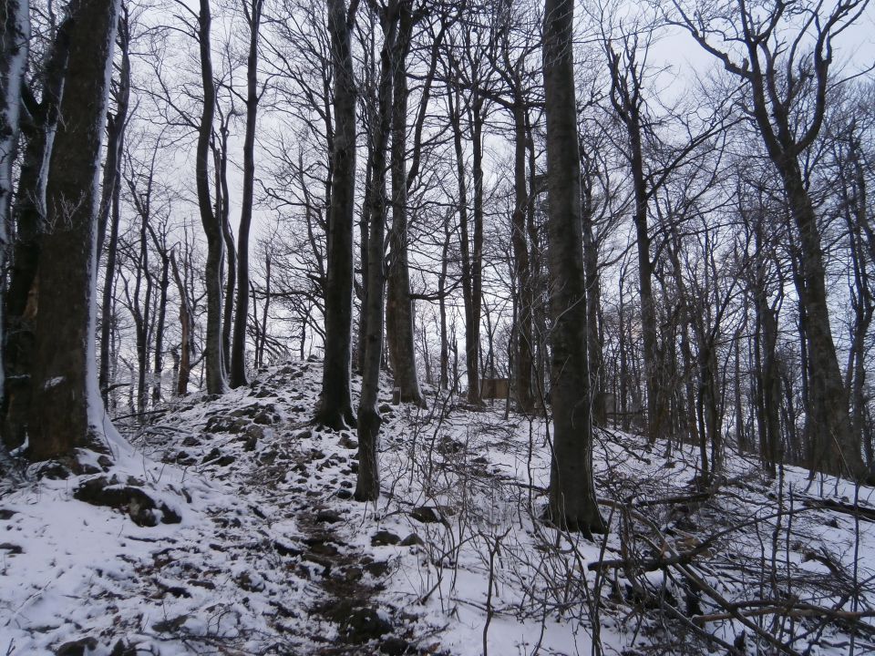 Boč nad Studenicami & Poljčanami, 23.2.2014 - foto povečava