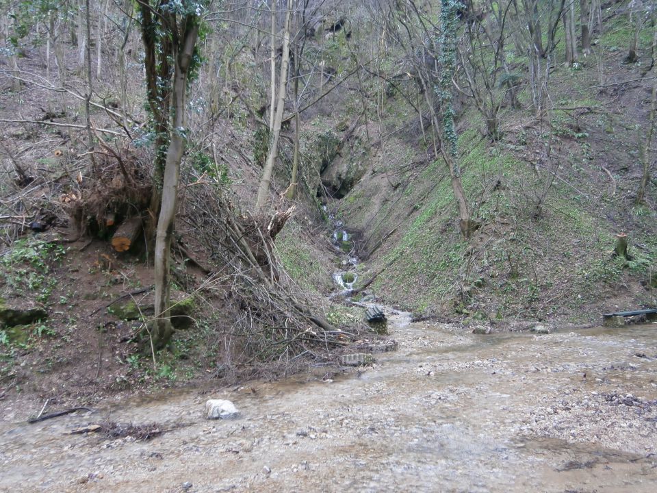 Boč nad Studenicami & Poljčanami, 23.2.2014 - foto povečava