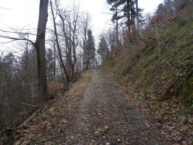 Boč nad Studenicami & Poljčanami, 23.2.2014 - foto