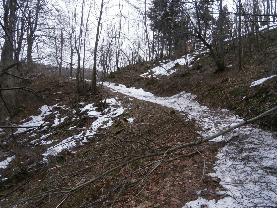 Boč nad Studenicami & Poljčanami, 23.2.2014 - foto povečava