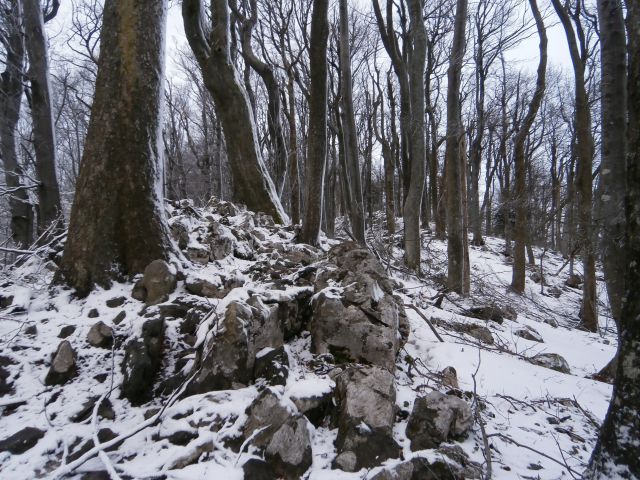 Boč nad Studenicami & Poljčanami, 23.2.2014 - foto