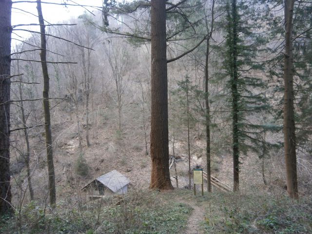 Sv. Peter/Olešče, 16.03.2014 - foto