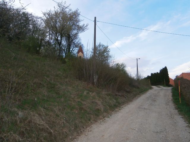 Samotni bor, 22.03.2014 - foto