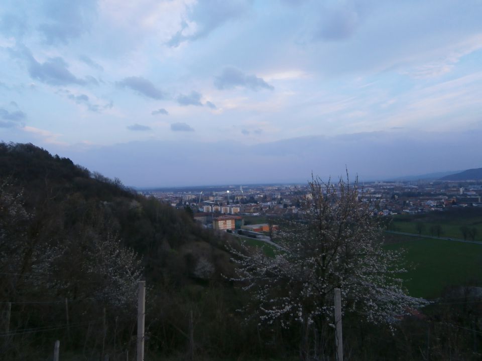 Samotni bor, 22.03.2014 - foto povečava