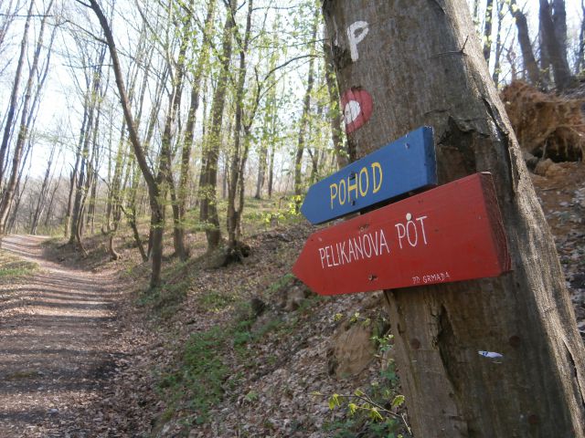 Celje - Laško, 30.03.2014 - foto