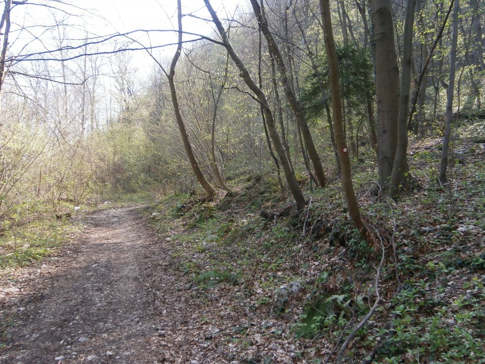 Celje - Laško, 30.03.2014 - foto povečava