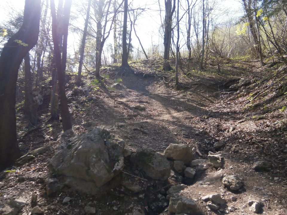 Celje - Laško, 30.03.2014 - foto povečava