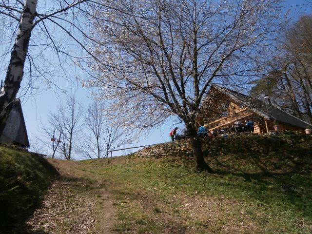 Celje - Laško, 30.03.2014 - foto