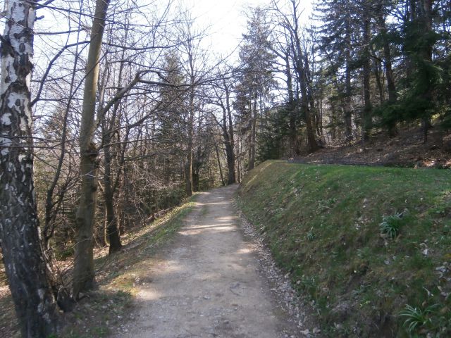 Celje - Laško, 30.03.2014 - foto