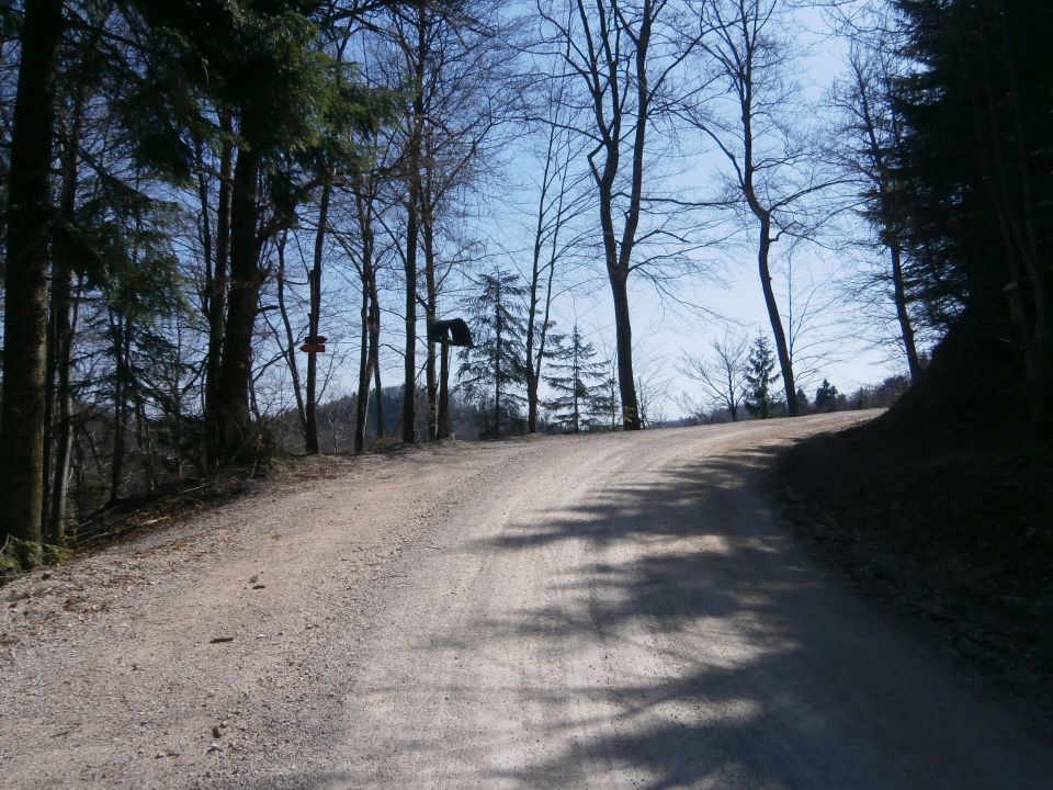 Celje - Laško, 30.03.2014 - foto povečava