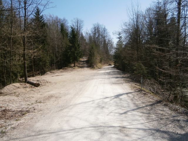 Celje - Laško, 30.03.2014 - foto