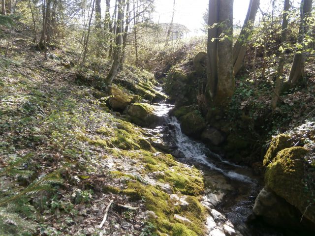 Celje - Laško, 30.03.2014 - foto