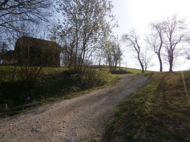 Celje - Laško, 30.03.2014 - foto