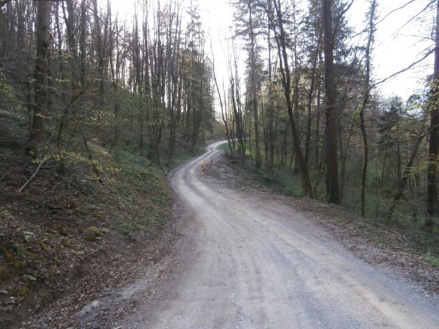 Celje - Laško, 30.03.2014 - foto