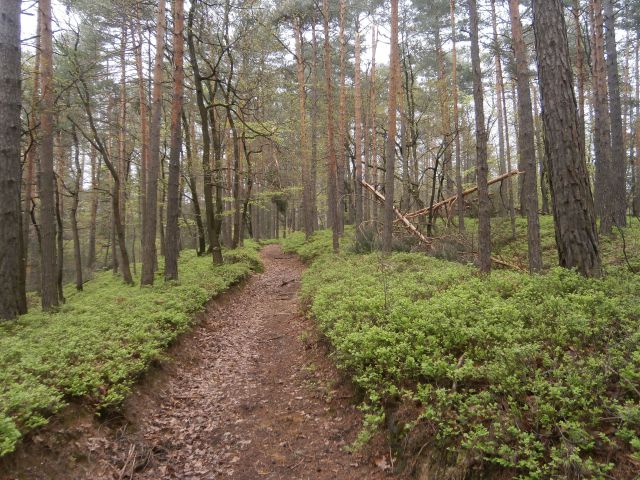 Štore - Ponikva, 06.04.2014 - foto