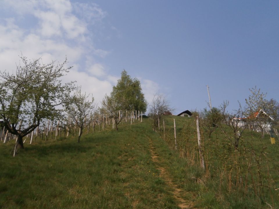 Štore - Ponikva, 06.04.2014 - foto povečava